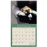 Kittens 2026 Wall Calendar WCA103836